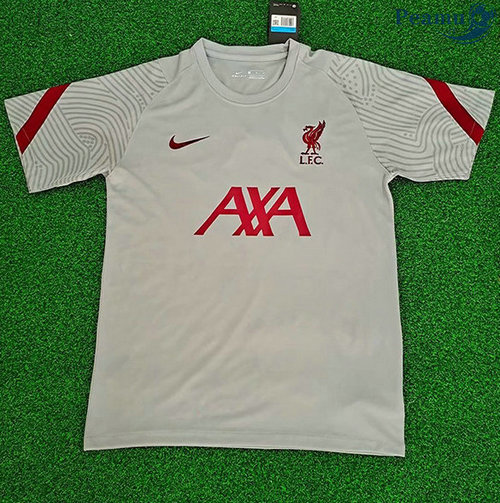 Camisola Futebol Liverpool Entrainement Cinza 2020-2021