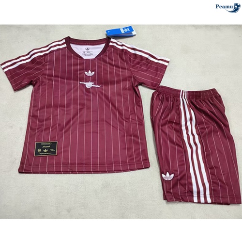 Camisola Futebol Arsenal Crianças Equipamento Especial vermelho 2026-2027