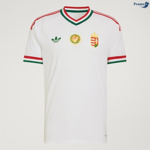 Camisola Futebol Gales Alternativa Equipamento 2026-2027
