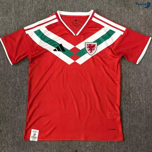 Camisola Futebol País de Gales Equipamento Training 2026-2027