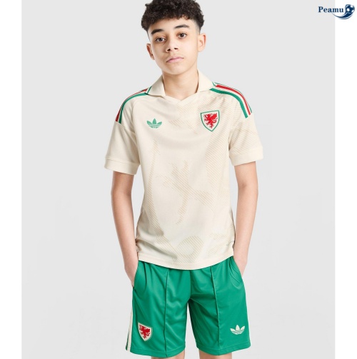 Camisola Futebol Gales Crianças Alternativa Equipamento 2026-2027