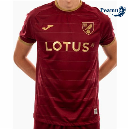 Camisola Futebol Norwich City Alternativa Equipamento 2022-2023 baratas