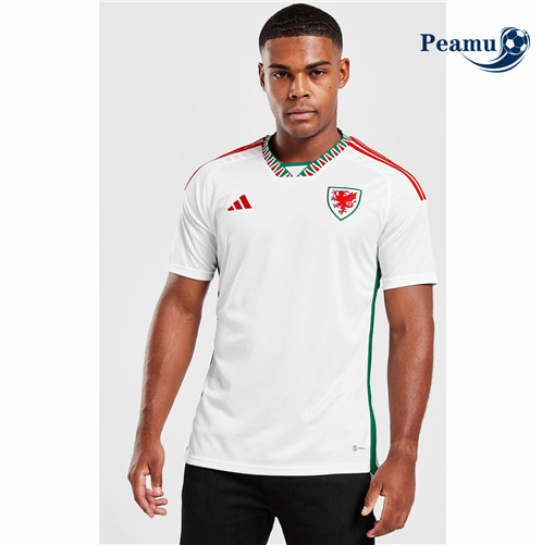 Camisola Futebol Pais de Gales Alternativa Equipamento 2022-2023 baratas