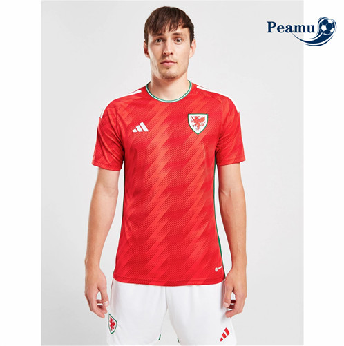 Camisola Futebol Pais de Gales Principal Equipamento 2022-2023 baratas