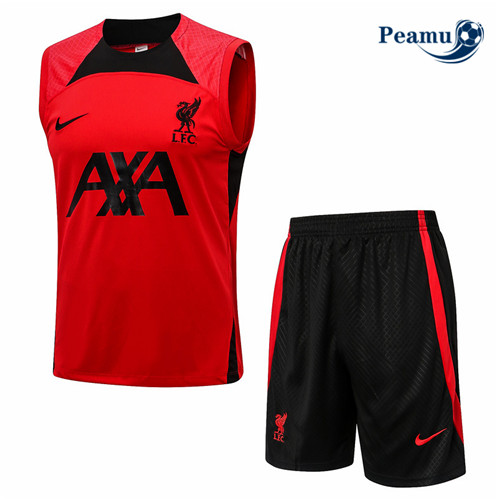 Comprar Camisola Kit Equipamento Training foot Liverpool Colete + Pantalon Rouge 2022-2023 baratas