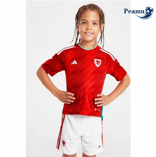 Novas Camisola Futebol País de Gales Crianças Principal Equipamento 2022-2023 baratas