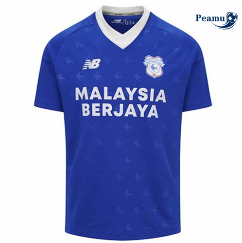 Vender Camisolas de futebol Cardiff City Principal Equipamento 2022-2023 t1006 baratas | peamu.pt