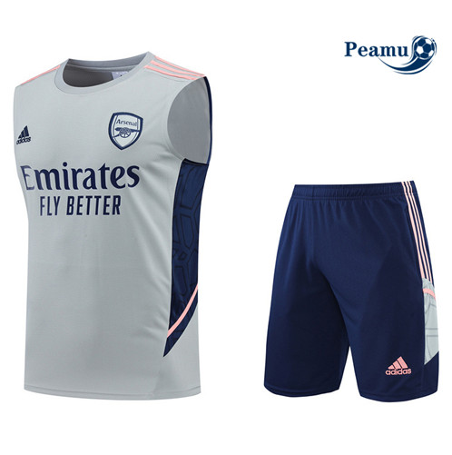 Vender Camisola Kit Entrainement foot Arsenal Colete + Pantalon 2022-2023 t210 baratas | peamu.pt