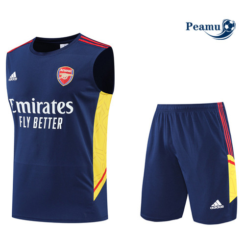 Comprar Camisola Kit Entrainement foot Arsenal Colete + Pantalon Azul Profundo 2022-2023 t211 baratas | peamu.pt