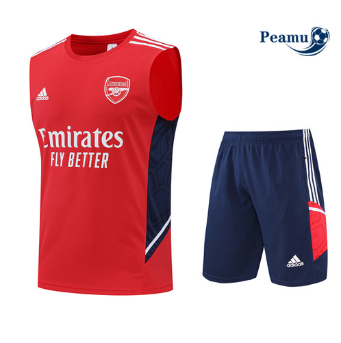 Vender Camisola Kit Entrainement foot Arsenal Colete + Pantalon Rojo/Azul Profundo 2022-2023 t212 baratas | peamu.pt