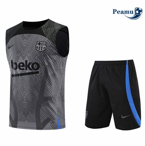 Comprar Camisola Kit Entrainement foot Barcelona Colete + Pantalon Gris 2022-2023 t225 baratas | peamu.pt