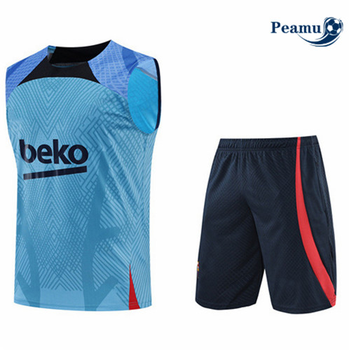 Vender Camisola Kit Entrainement foot Barcelona Colete + Pantalon Azul 2022-2023 t226 baratas | peamu.pt
