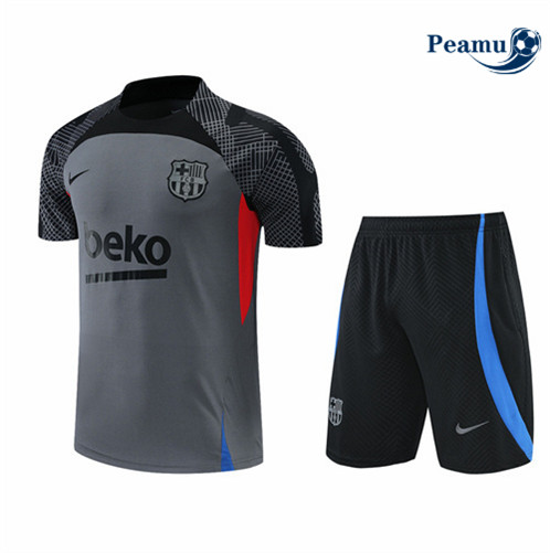Comprar Camisola Kit Entrainement foot Barcelona + Pantalon Gris 2022-2023 t237 baratas | peamu.pt
