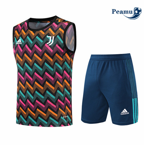 Vender Camisola Kit Entrainement foot Juventus Colete + Pantalon 2022-2023 t294 baratas | peamu.pt
