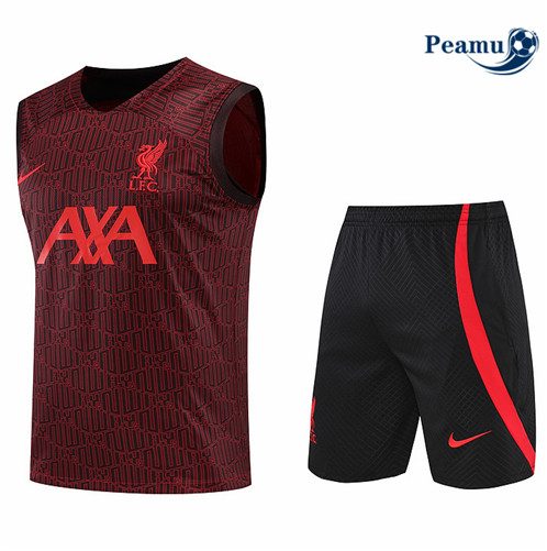 Comprar Camisola Kit Entrainement foot Liverpool Colete + Pantalon Rojo/Negro 2022-2023 t305 baratas | peamu.pt