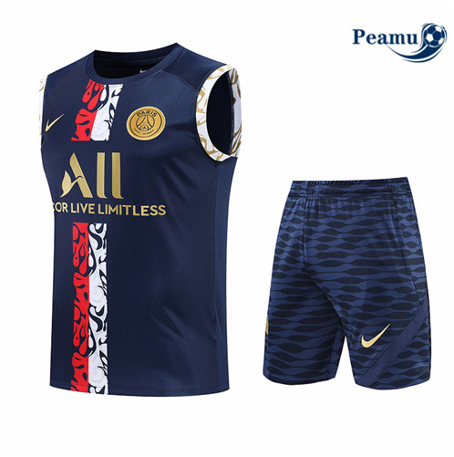 Vender Camisola Kit Entrainement foot Paris PSG Colete + Pantalon Azul Profundo 2022-2023 t370 baratas | peamu.pt