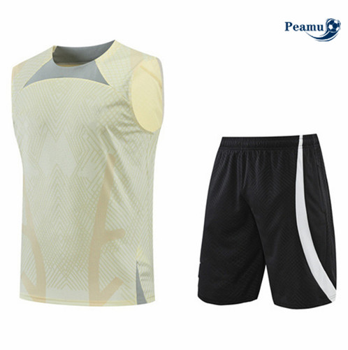 Vender Camisola Kit Entrainement foot Tottenham Hotspur Colete + Pantalon Amarillo 2022-2023 t426 baratas | peamu.pt