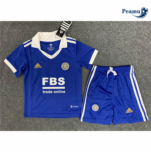 Comprar Camisolas de futebol Leicester City Crianças Principal Equipamento 2022-2023 t137 baratas | peamu.pt