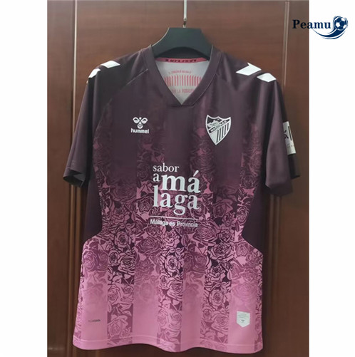 Vender Camisolas de futebol Malaga Alternativa Equipamento 2022-2023 t886 baratas | peamu.pt