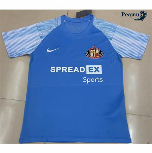 Vender Camisolas de futebol Sunderland Alternativa Equipamento 2022-2023 t1040 baratas | peamu.pt