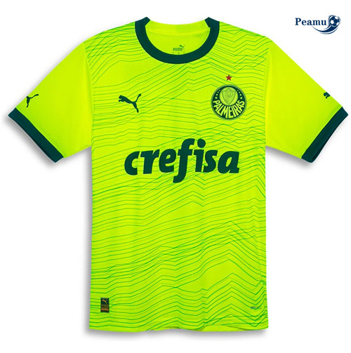 Camisola Futebol Palmeiras Terceiro Equipamento Verde 2023-2024