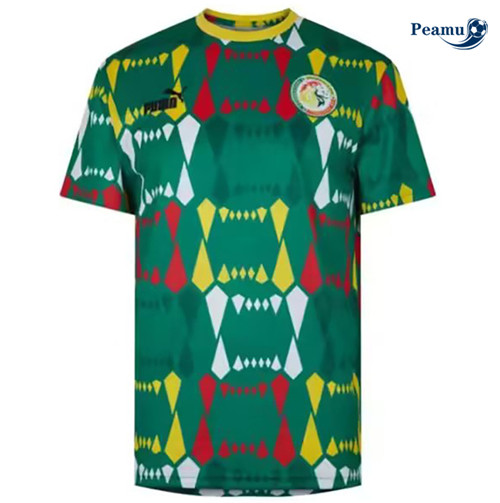 Camisola Futebol Senegal Alternativa Equipamento 2023-2024