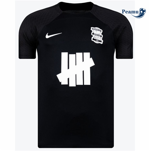 Oferta Camisola Futebol Birmingham City Terceiro Equipamento 2023-2024