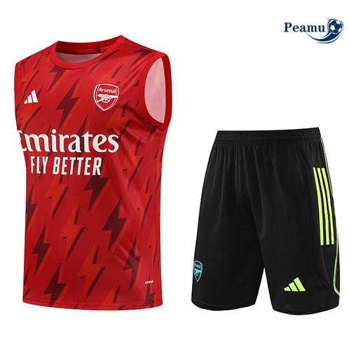 Oferta Camisola Kit Equipamento Training Arsenal Colete + Calções Vermelho 2023-2024