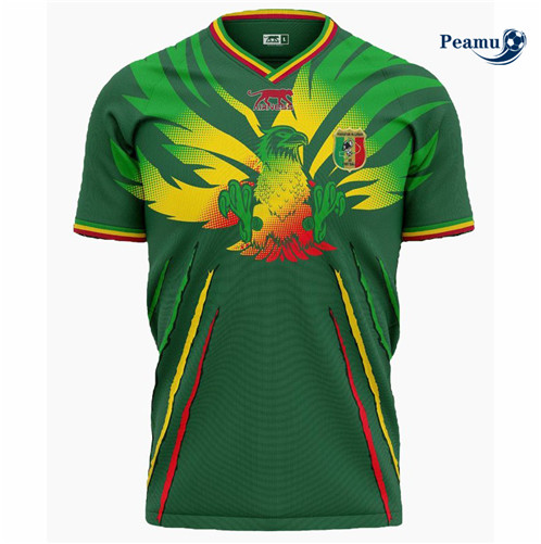 Comprar Camisola Futebol Mali Africa Cup Alternativa Equipamento Verde 2023-2024