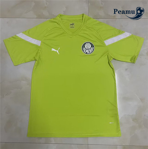 Peamu: Novas Camisola Futebol Palmeiras Equipamento Training Verde Gazon 2022-2023