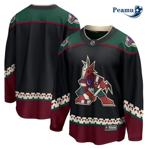 Camisola Futebol Arizona Coyotes - Principal p1198