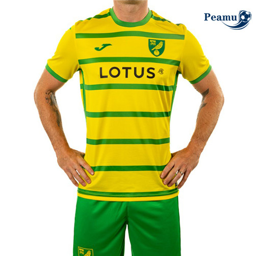 Peamu: Comprar Camisola Norwich City Principal Equipamento 2023-2024