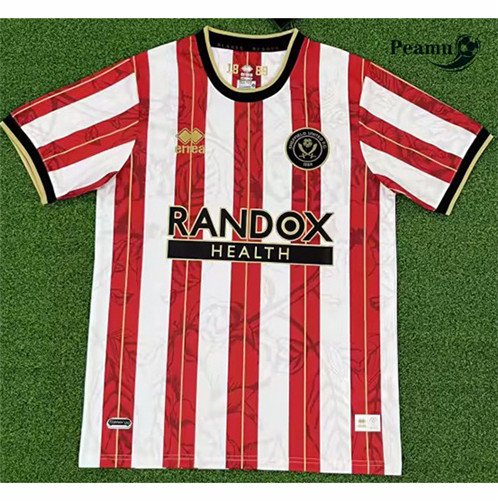 Peamu: Comprar Camisola Sheffield United Equipamento Edição especial 2023-2024