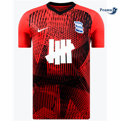 Comprar Camisola Futebol Birmingham City Alternativa Equipamento 2023-2024