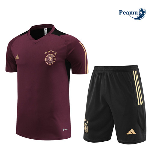 Oferta Camisola Kit Equipamento Training Alemanha + Shorts Roxo 2023-2024