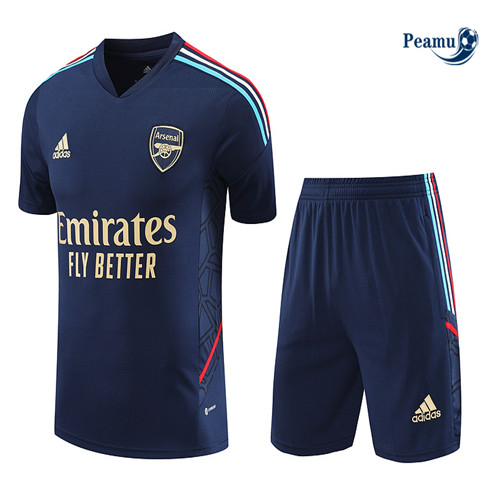 Projeto Camisola Kit Equipamento Training Arsenal + Shorts Azul 2023-2024
