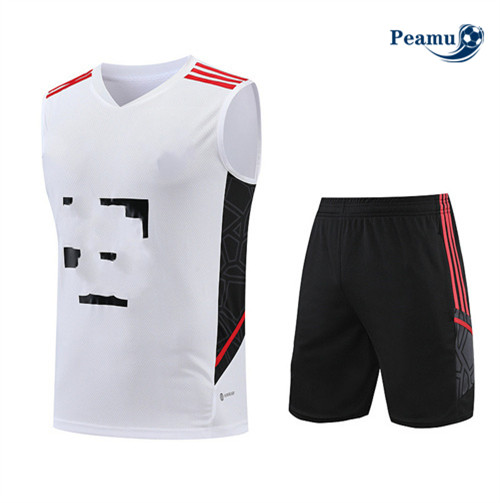 Todos Camisola Kit Equipamento Training Bayern de Munique Colete + Shorts Branco 2023-2024