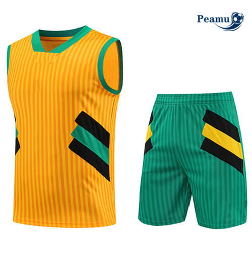 Cria Camisola Kit Equipamento Training Bayern de Munique Colete + Shorts Amarelo 2023-2024