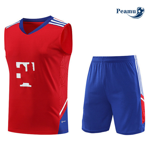 Ofertas Camisola Kit Equipamento Training Bayern de Munique Colete + Shorts Vermelho 2023-2024