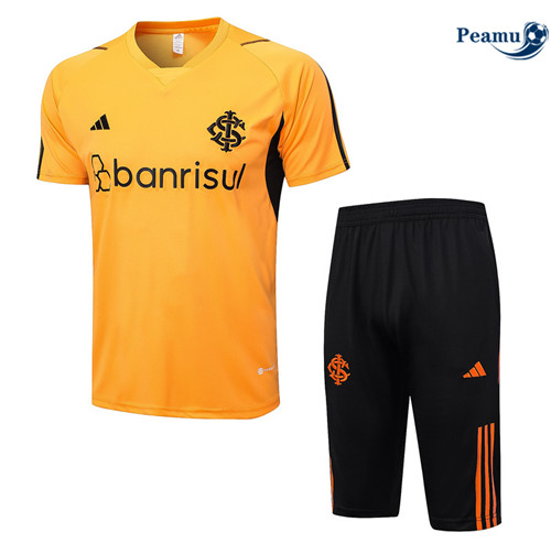 Procurar Camisola Kit Equipamento Training SC Internacional + Shorts Laranja 2023-2024