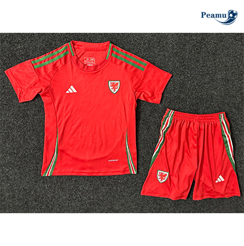 Camisola Futebol Gales Crianças Principal Equipamento 2024-2025