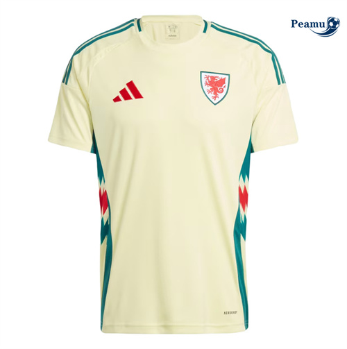 Camisola Futebol Gales Alternativa Equipamento 2024-2025