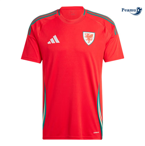 Camisola Futebol Gales Principal Equipamento 2024-2025