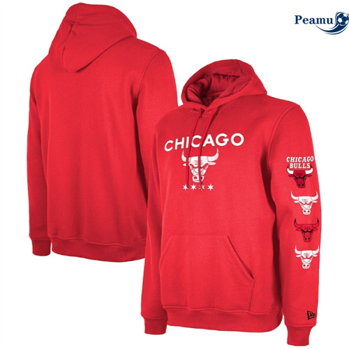 Loja Camisola Sueter de com capuz Chicago Bulls 2024 - City