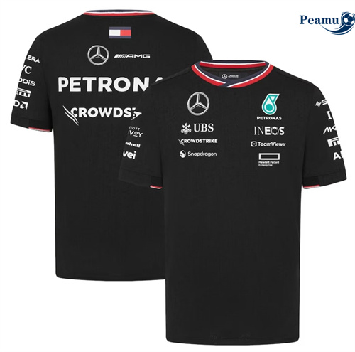 Comprar Camisola Mercedes AMG Petronas F1 2024