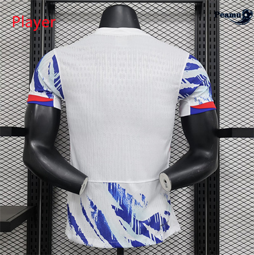 Loja Camisola Futebol Noruega Player Version Alternativa Equipamento 2024-2025