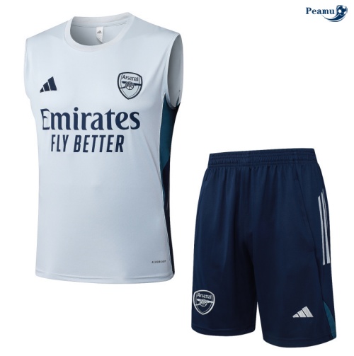 Camisola Kit Equipamento + Calças Arsenal Colete + Calções Cinza Clair/Azul-marinho 2025-2026 Peamu 039