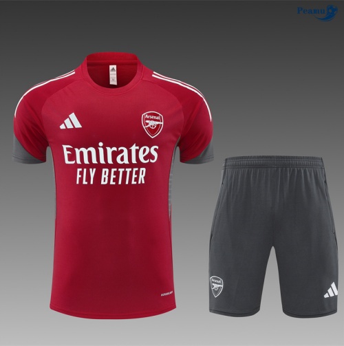 Camisola Kit Equipamento Training Arsenal Criancas + Calções vermelho/Cinza/Branco 2025-2026 Peamu 047