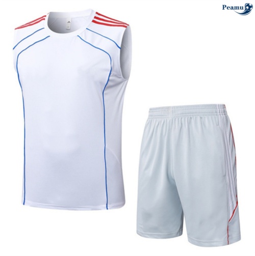 Camisola Kit Equipamento + Calças Bayern de Munique Colete + Calções Branco/vermelho/azul 2025-2026 Peamu 101