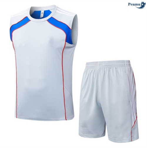 Camisola Kit Equipamento + Calças Bayern de Munique Colete + Calções Cinza/azul 2025-2026 Peamu 104